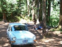 Sylvan