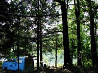 Sylvan