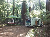 Sylvan
