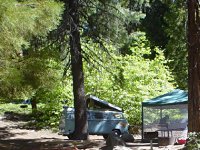 Sylvan