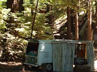 Sylvan