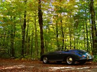 Sylvan