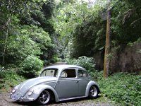 Sylvan