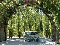 Sylvan