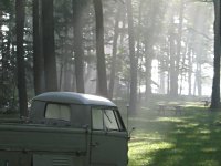 Sylvan