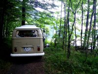 Sylvan