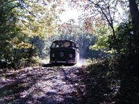 Sylvan