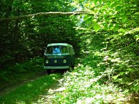 Sylvan