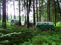 Sylvan