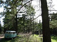 Sylvan