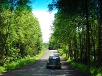 Sylvan
