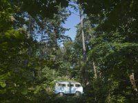 Sylvan