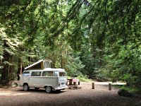 Sylvan