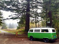 Sylvan