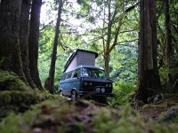 Sylvan