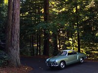 Sylvan