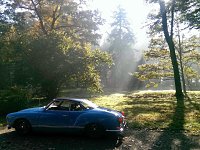 Sylvan