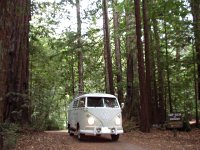 Sylvan