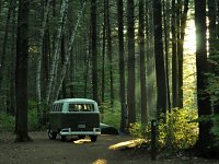 Sylvan