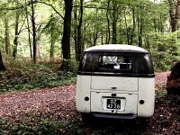 Sylvan