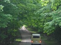 Sylvan