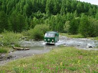 Sylvan