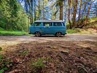 Sylvan