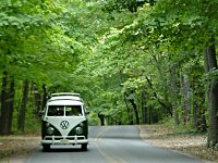 Sylvan