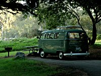 Sylvan