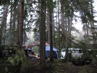 Sylvan