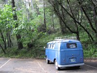 Sylvan