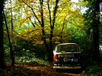 Sylvan