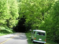 Sylvan