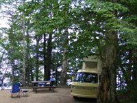 Sylvan