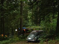 Sylvan