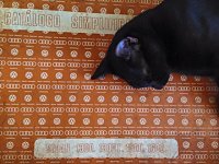 VW Cats