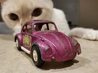 VW Cats