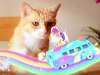 VW Cats