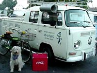 VW Dogs