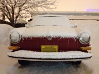 Winter