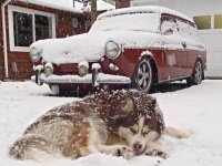 Winter