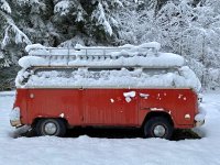Winter