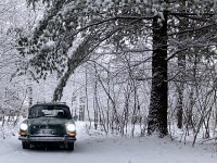 Winter