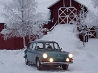 Winter