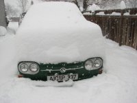 Winter