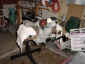 engine_clean.jpg (72078 bytes)